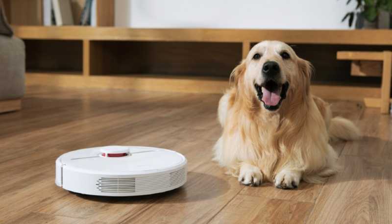 aspirador para alergia a los perros