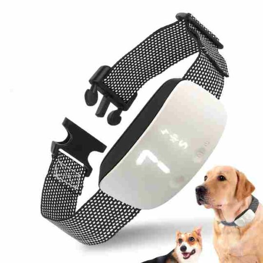 collar antiladridos