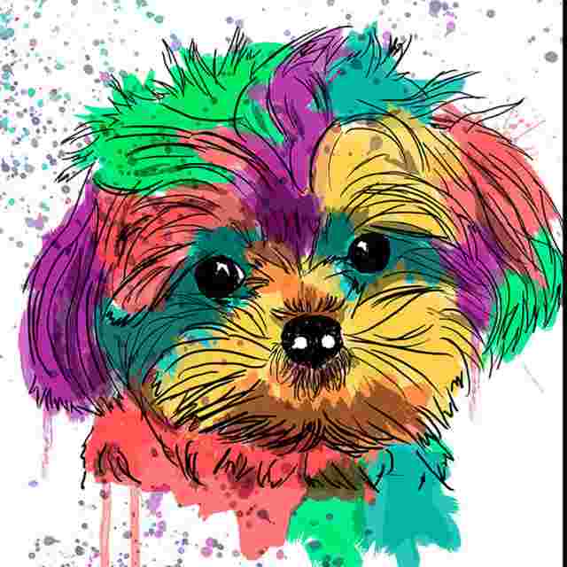 cruces bichon maltes