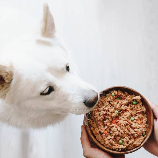 comida casera personalizad para perros