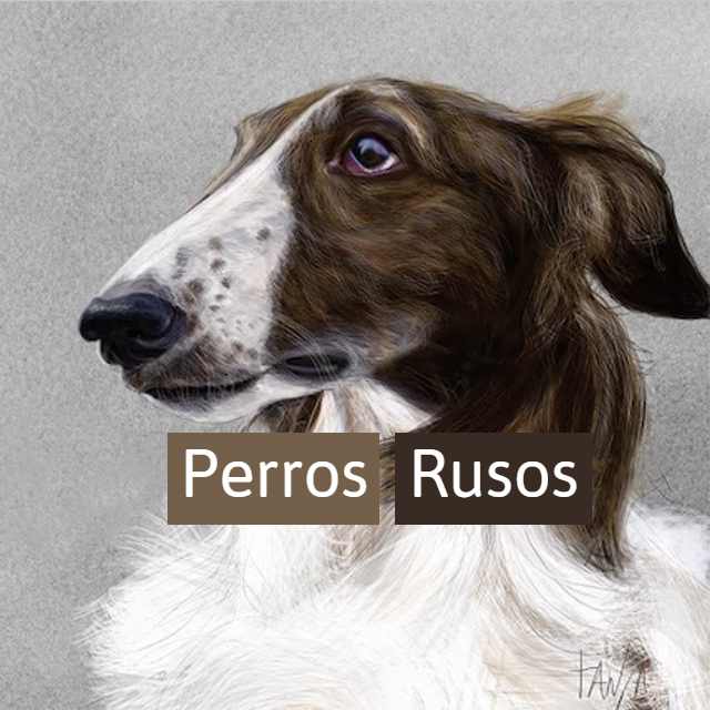 perros rusos