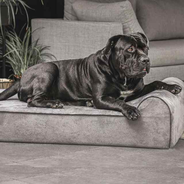 camas para perros grandes